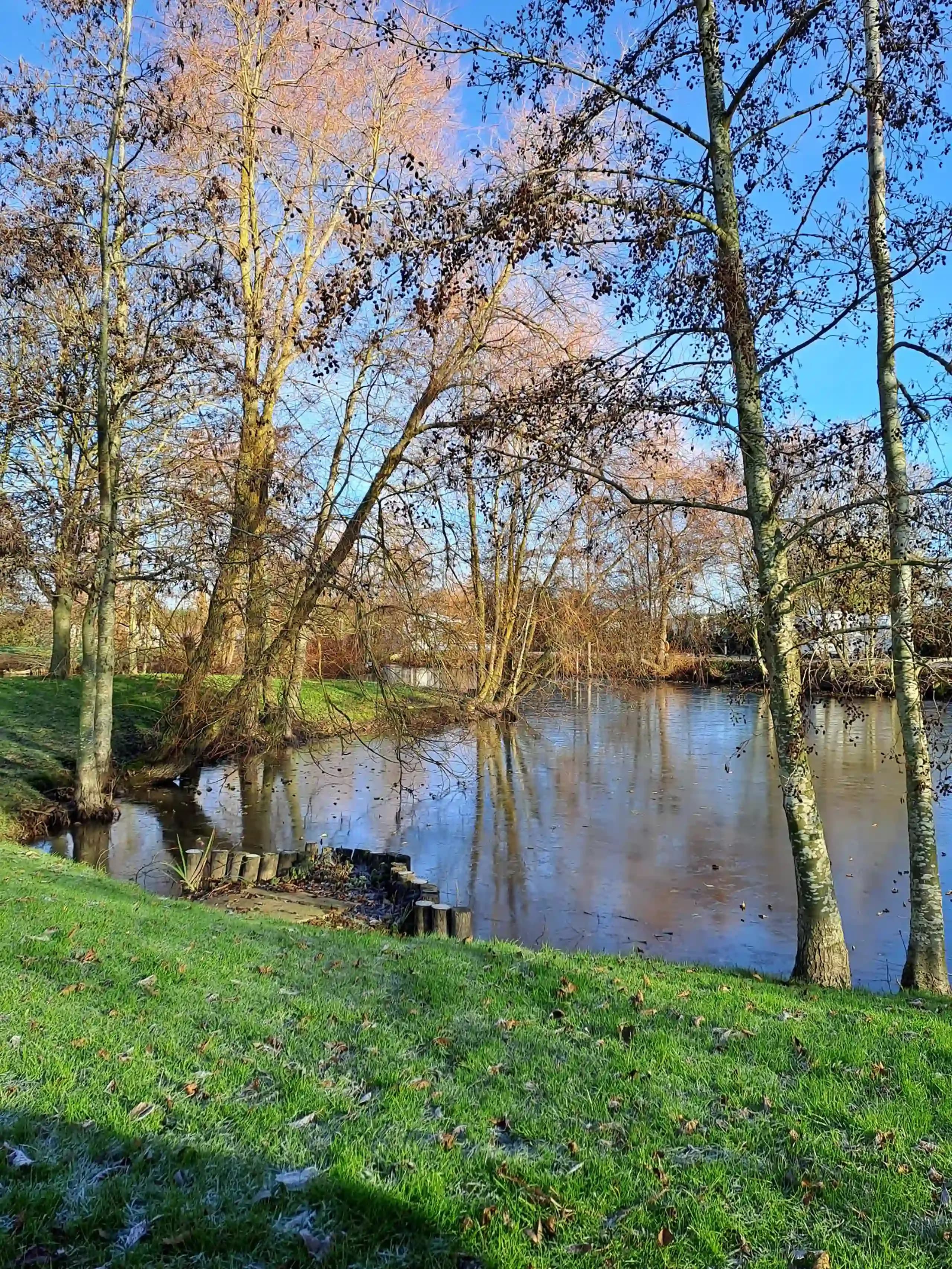 Roach Farm Park Fishing Lake 