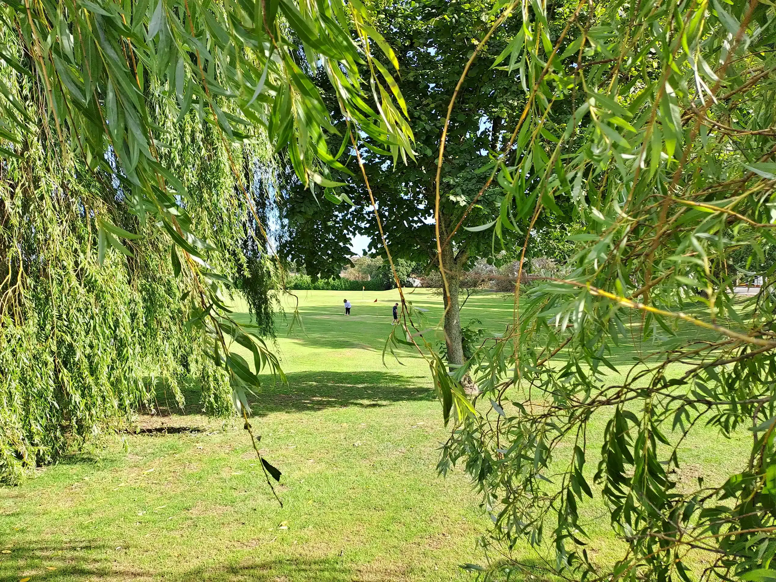 golf course